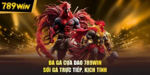 Đá Gà Cựa Dao 789WIN - Sới Gà Trực Tiếp, Kịch Tính