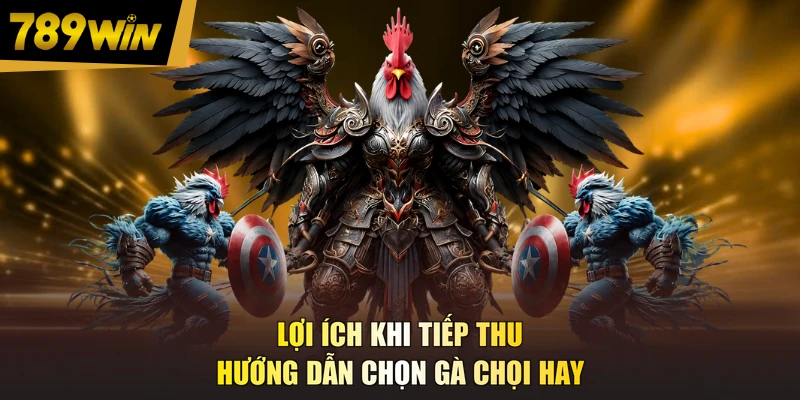 Lợi ích khi tiếp thu hướng dẫn chọn gà chọi hay