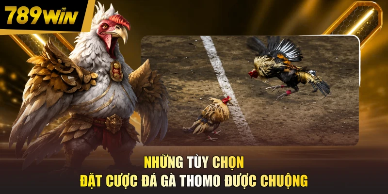 Những tùy chọn đặt cược đá gà Thomo được chuộng