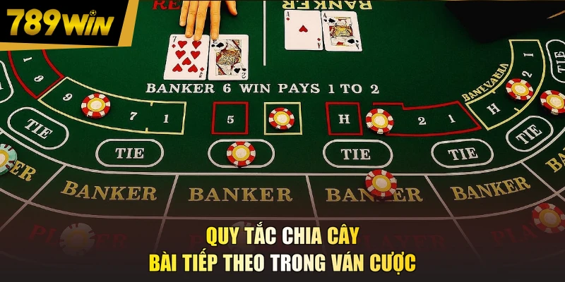 Quy tắc chia cây bài tiếp theo trong ván cược